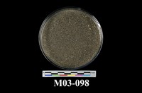 藏品(磁鐵砂)的圖片